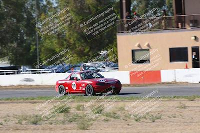 media/Oct-14-2023-CalClub SCCA (Sat) [[0628d965ec]]/Group 4/Race/